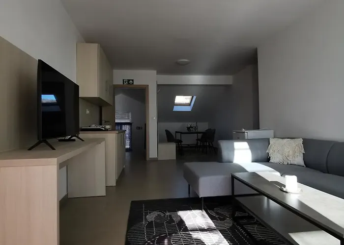 酒店 Bellevue 诺维·维诺多尔斯基