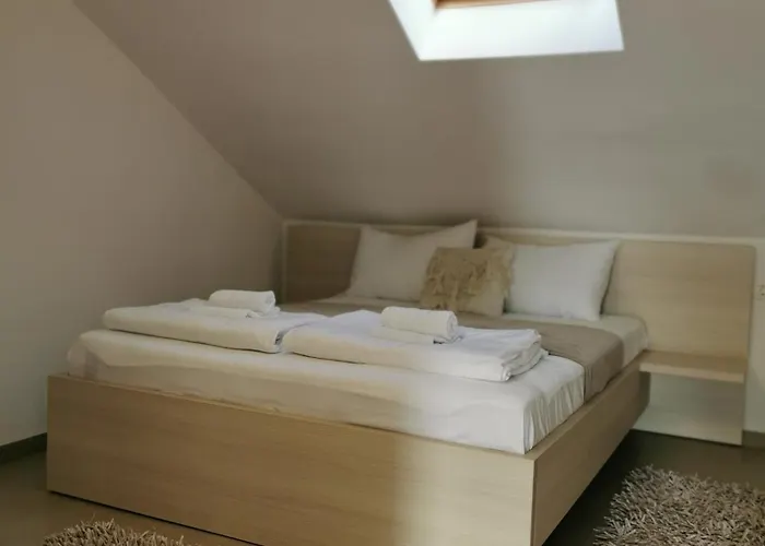 Bellevue 诺维·维诺多尔斯基