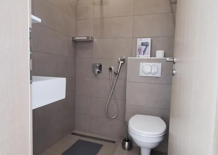 Bellevue 诺维·维诺多尔斯基