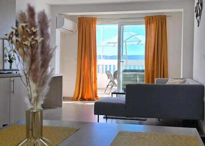 Bellevue 诺维·维诺多尔斯基