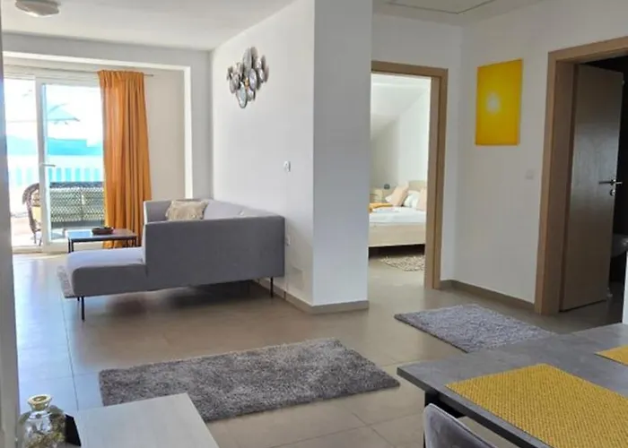 Bellevue 诺维·维诺多尔斯基